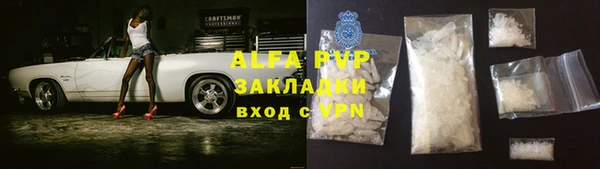 стафф Богородицк