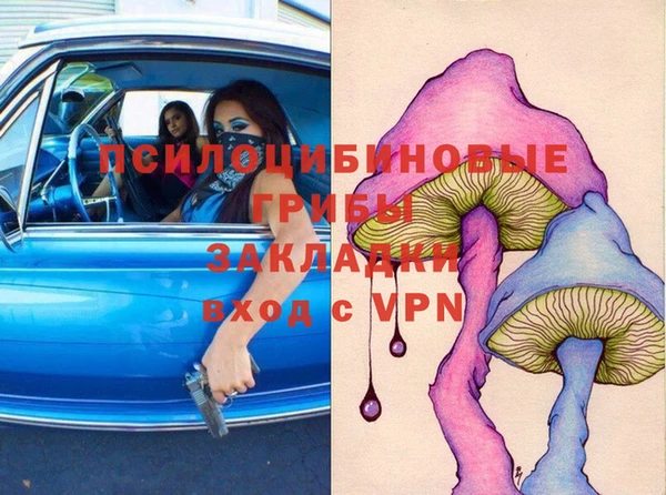 стафф Богородицк