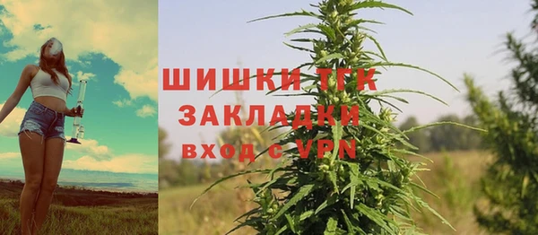 гидропоника Бородино