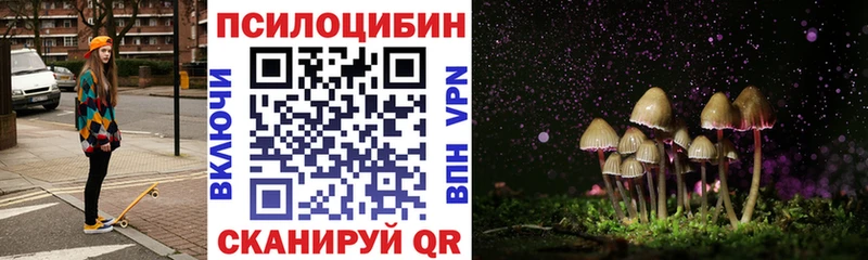 Псилоцибиновые грибы Cubensis дарнет шоп Берёзовский